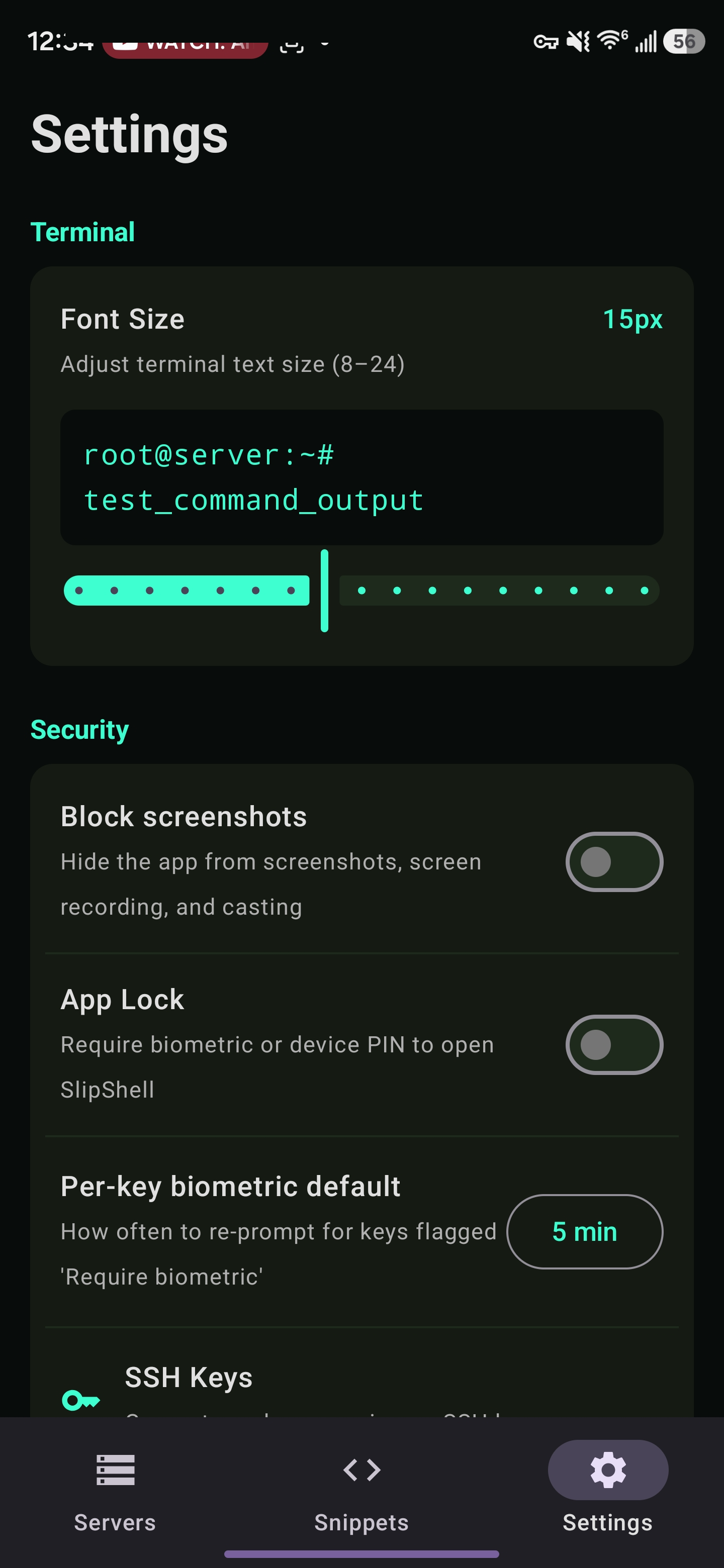 SlipShell terminal and security settings